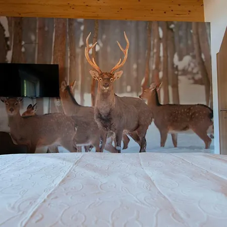 Dorf Alpenleben By Alpentravel Aparthotel